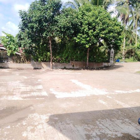 Villa Del Carmen Haven Bohol エクステリア 写真