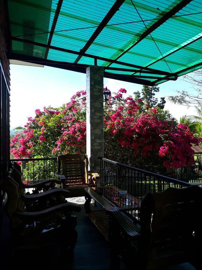 Villa Del Carmen Haven Bohol エクステリア 写真