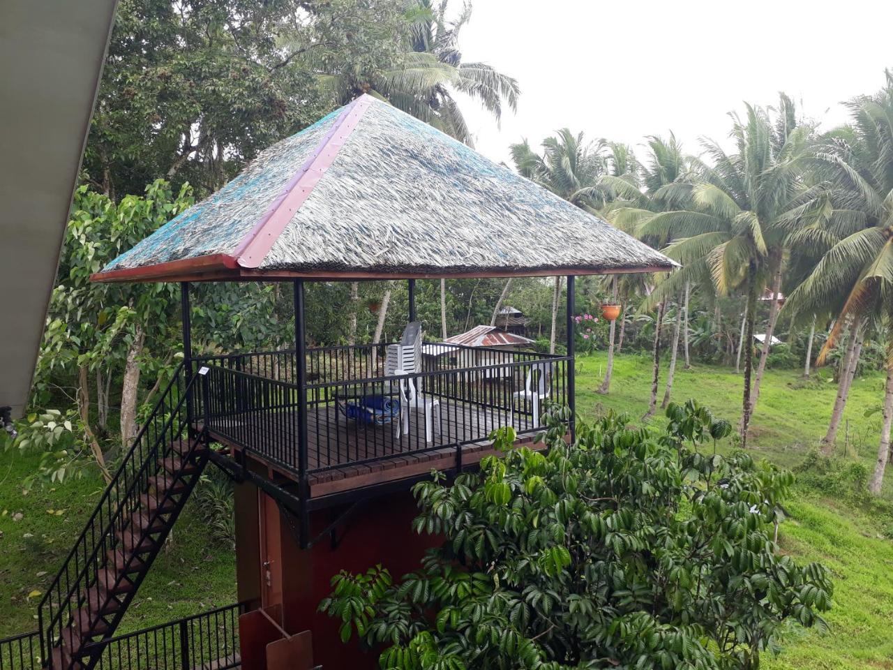 Villa Del Carmen Haven Bohol エクステリア 写真