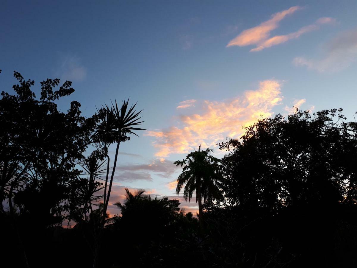 Villa Del Carmen Haven Bohol エクステリア 写真