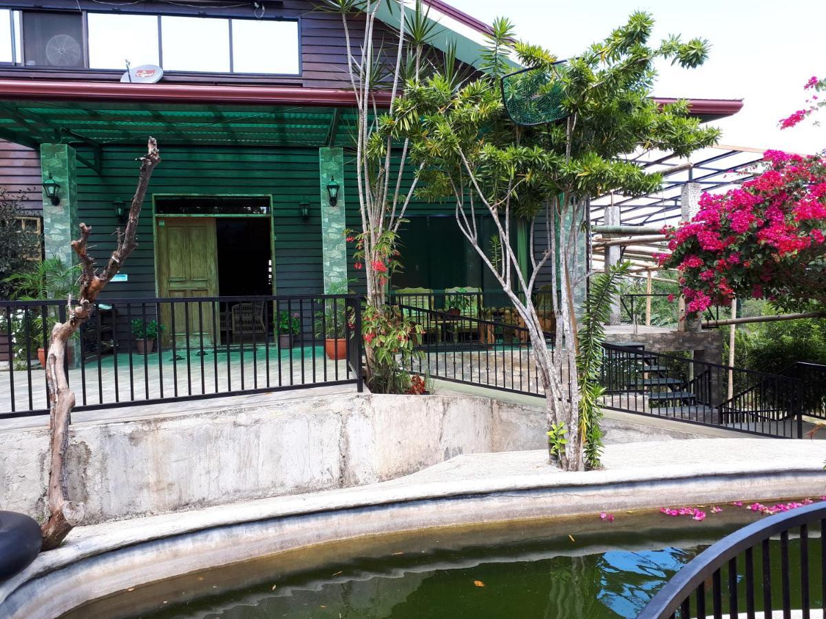Villa Del Carmen Haven Bohol エクステリア 写真