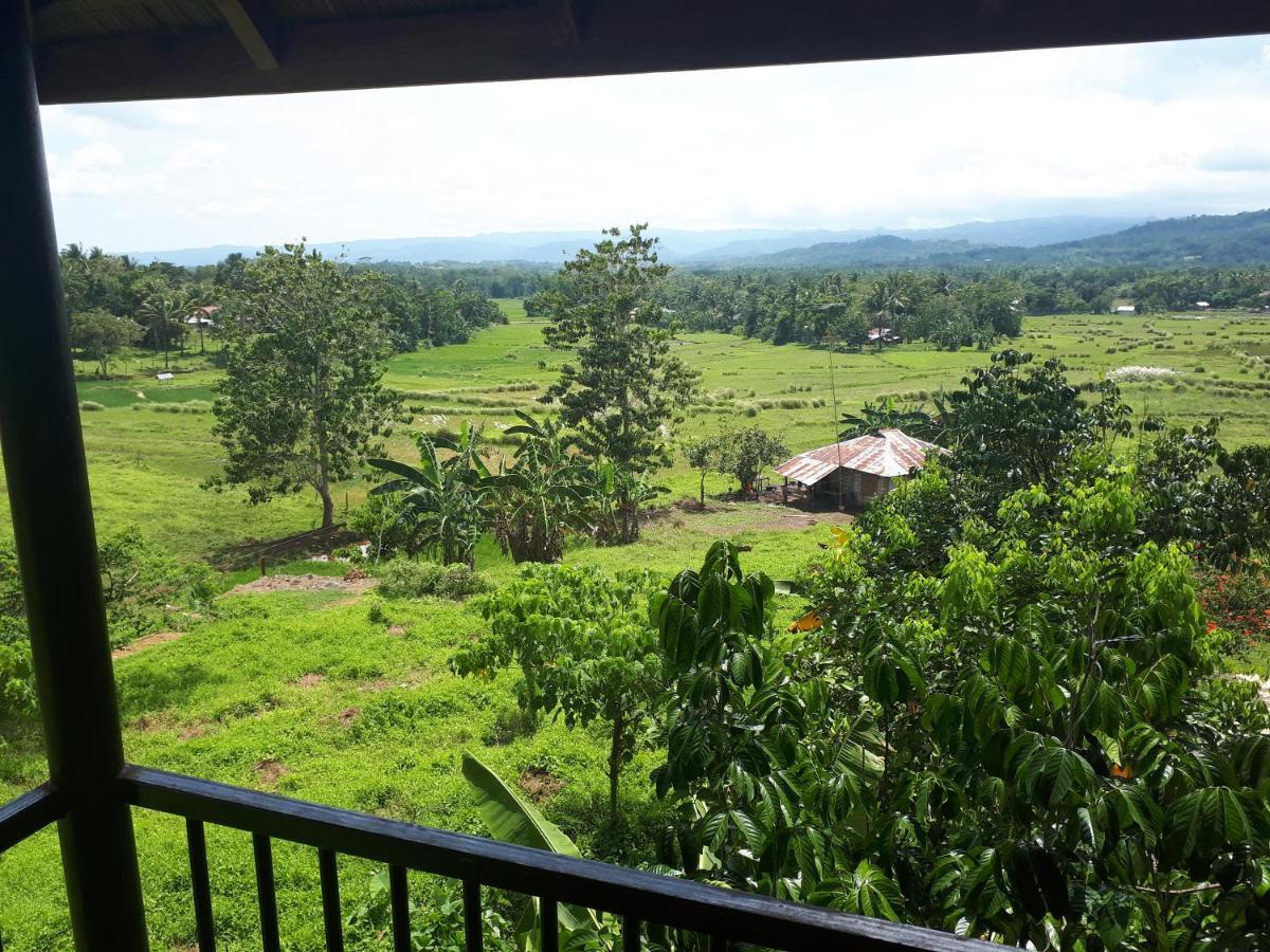 Villa Del Carmen Haven Bohol エクステリア 写真