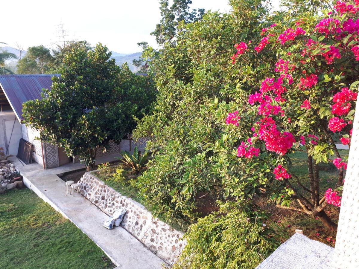Villa Del Carmen Haven Bohol エクステリア 写真