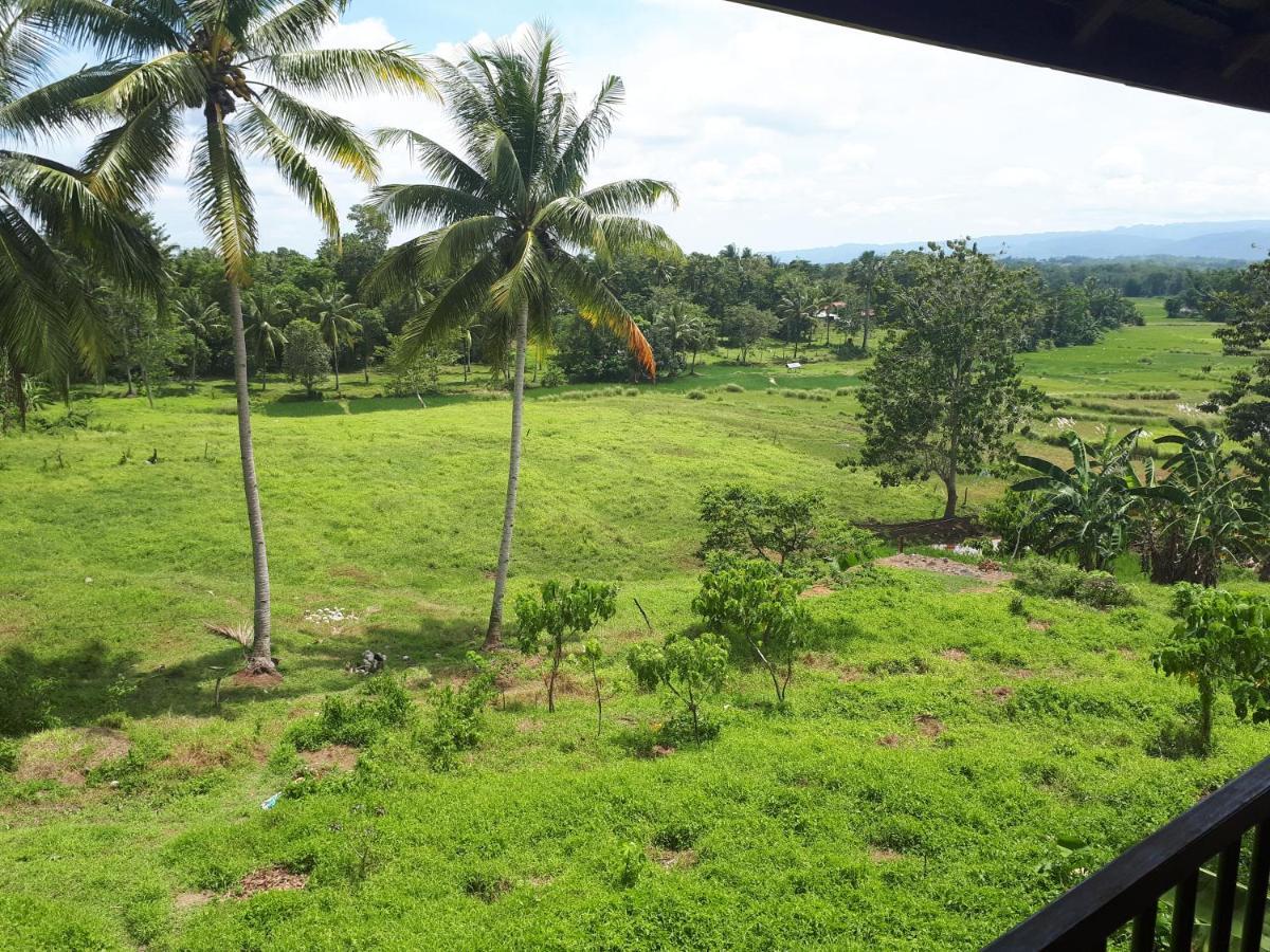 Villa Del Carmen Haven Bohol エクステリア 写真