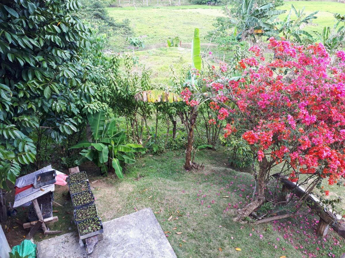 Villa Del Carmen Haven Bohol エクステリア 写真