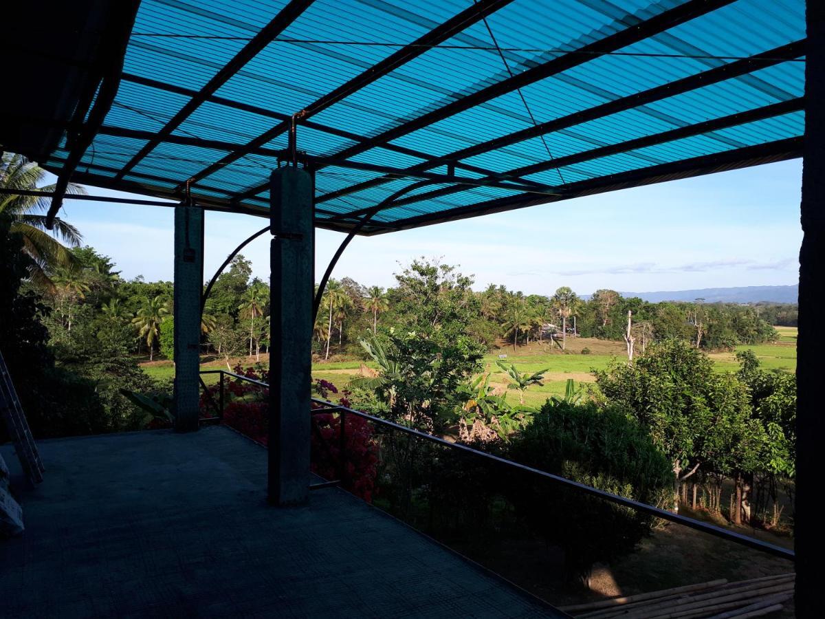 Villa Del Carmen Haven Bohol エクステリア 写真